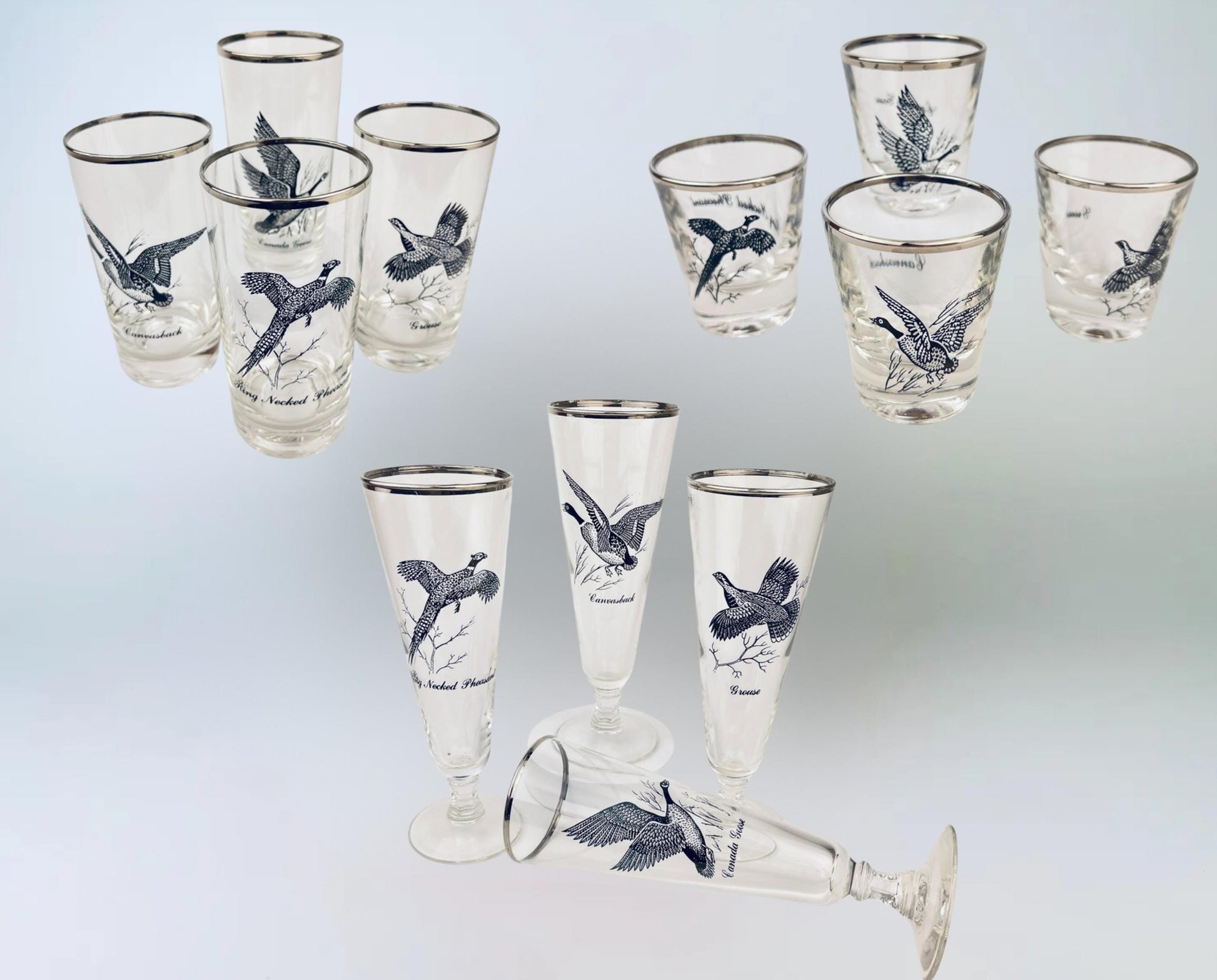 Product image for 'vintage foul bird drinking glasses clear silver rimmed perfect hunter gift sets sold separately' (view 980366)