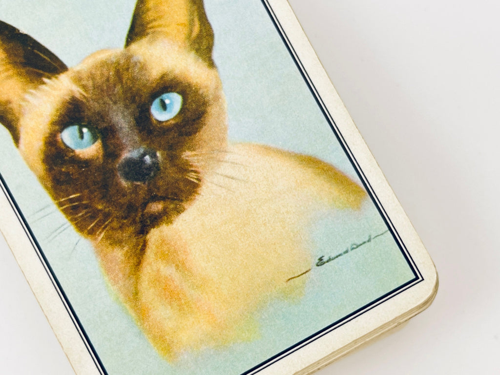 Product image for 'vintage siamese cat poodle pattern playing cards made in austria by piatnik decks sold separately' (view ef2871)