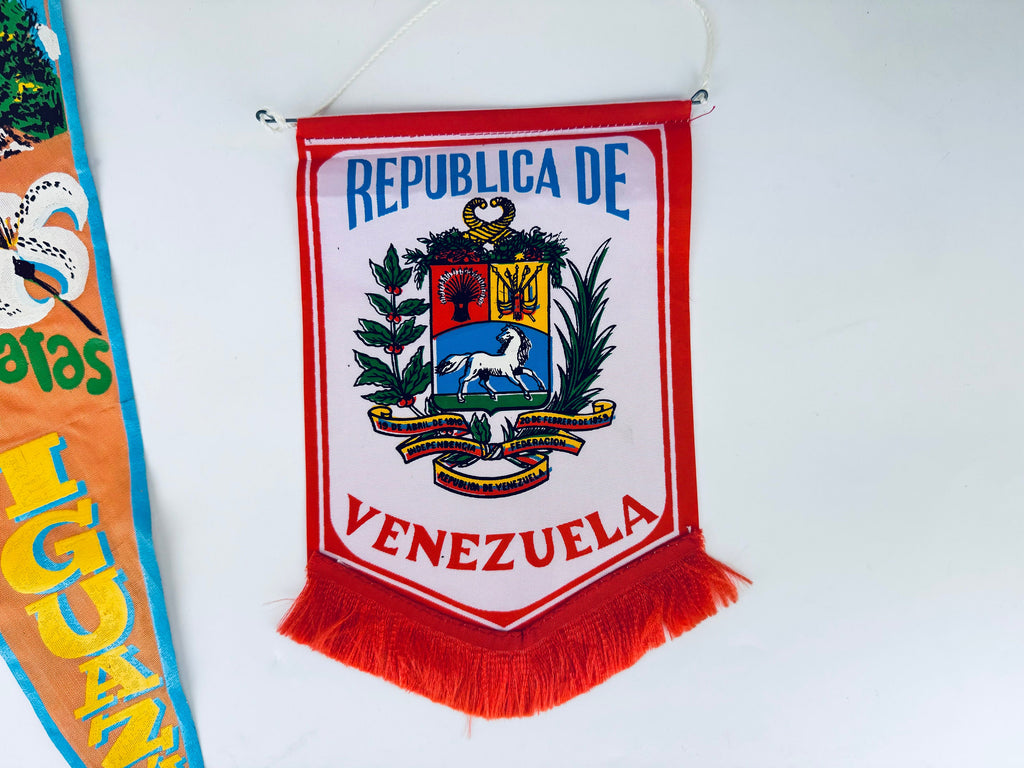 Product image for 'vintage south america tapered pennant wall hanging sold separately venezuela paraguay brazil cataratas del iguazu' (view 0deb29)