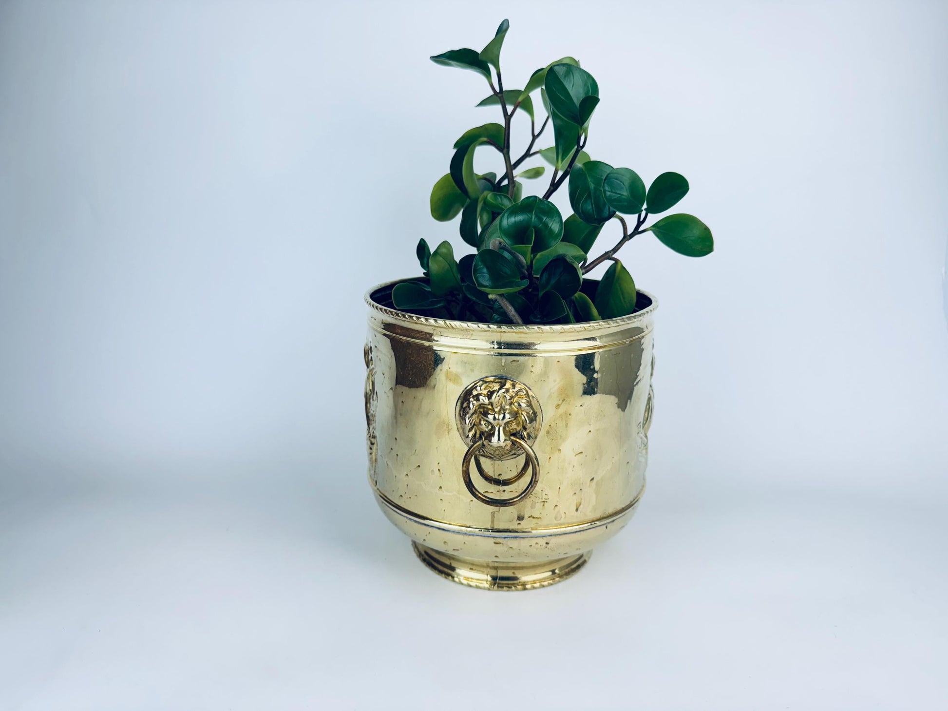 Product image for 'vintage round brass nautical emboss indoor planter lion head handles made in england by peerage' (view 46d8cd)