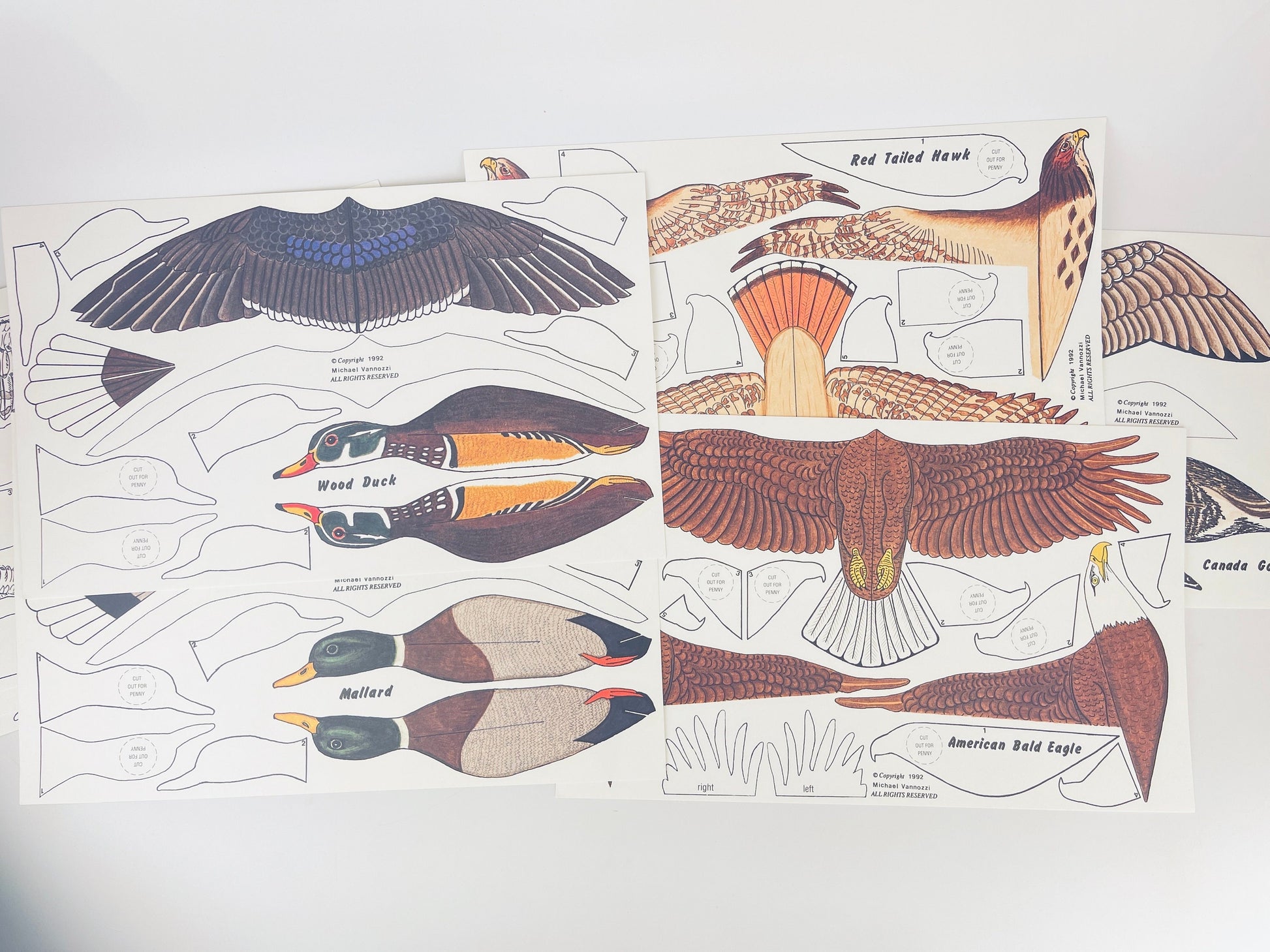 Product image for 'vintage eddie bauer bird gliders six 6 high flying paper gliders art by mike vannozzi new old stock nos' (view 101880)