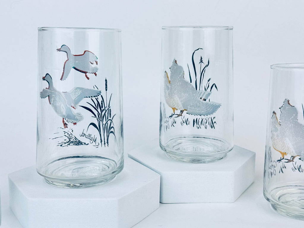 Product image for 'vintage mallard duck grouse drinking glasses mid century wildlife barware set' (view fb9c8b)