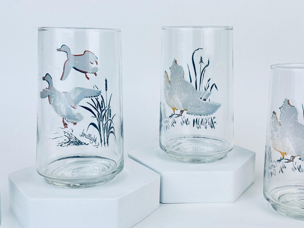 Product image for 'vintage mallard duck grouse drinking glasses mid century wildlife barware set' (view fb9c8b)