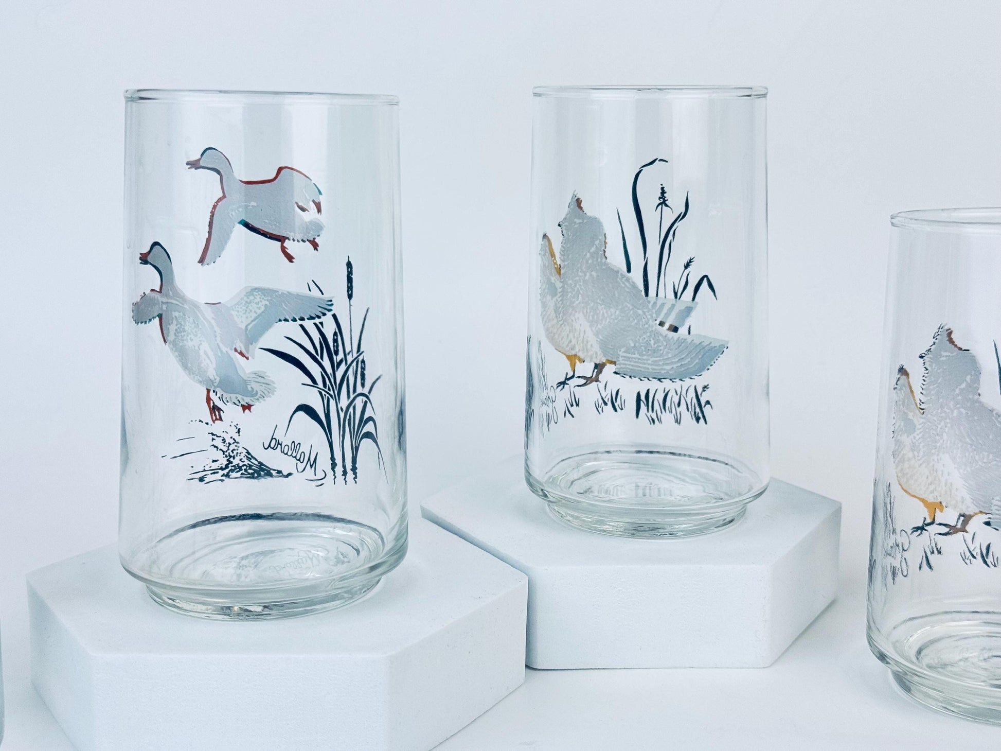 Product image for 'vintage mallard duck grouse drinking glasses mid century wildlife barware set' (view fb9c8b)