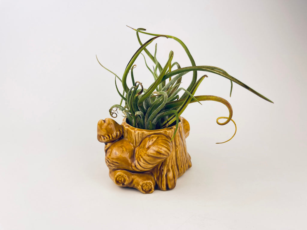 Product image for 'vintage squirrel tree trunk ceramic planter mid century woodland whimsy' (view bdfbea)