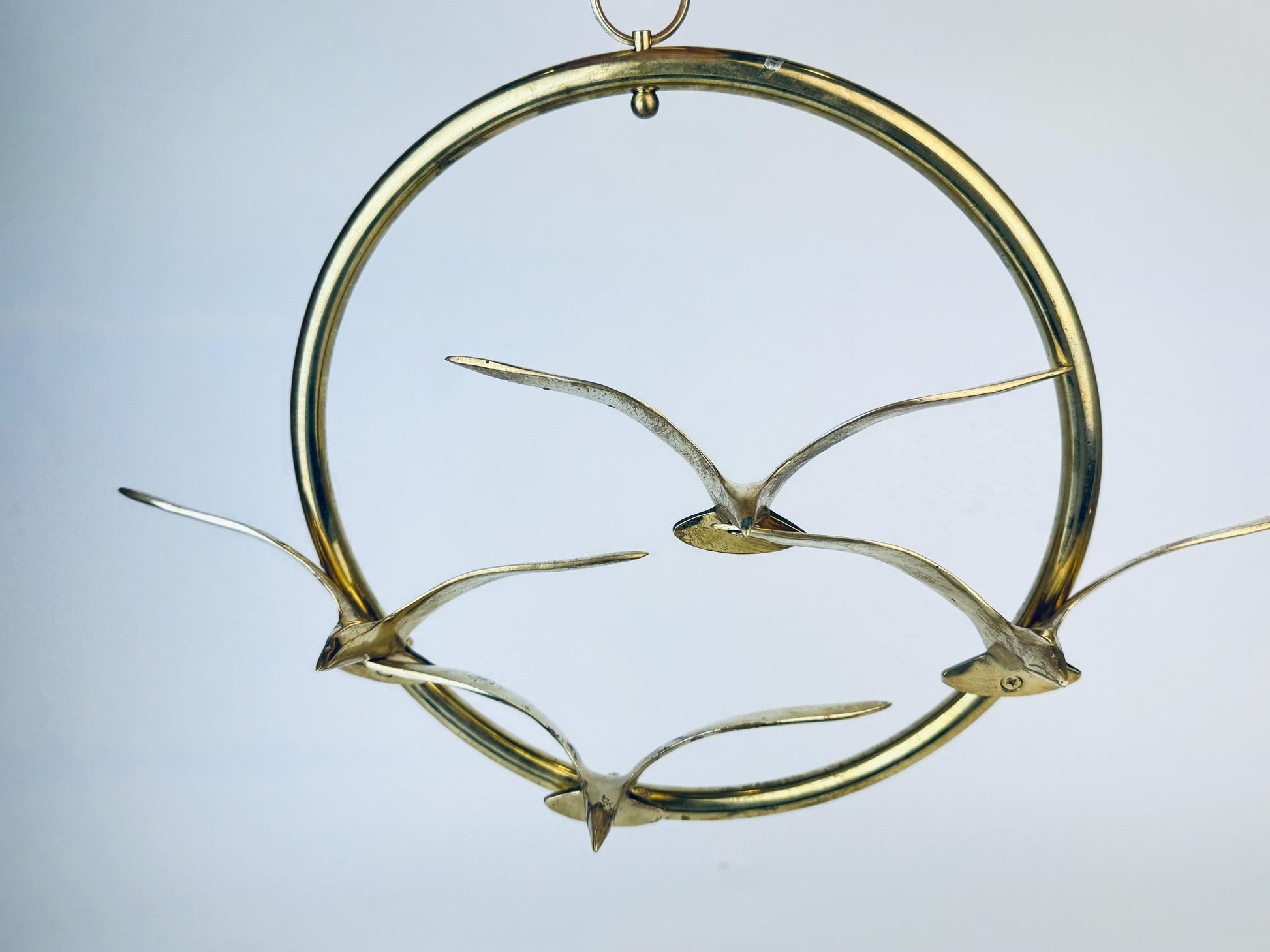Product image for 'vintage wall mounted flying solid brass bird quattro 11 circular ring' (view 195a96)