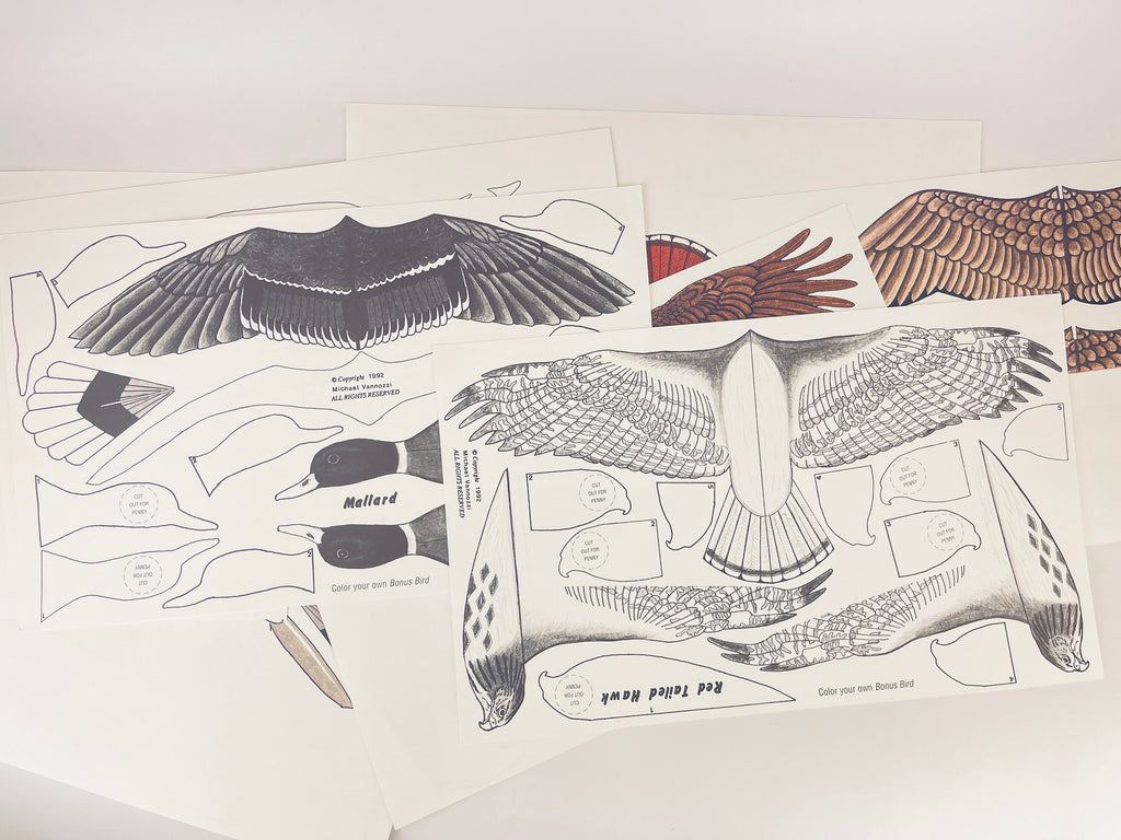 Product image for 'vintage eddie bauer bird gliders six 6 high flying paper gliders art by mike vannozzi new old stock nos' (view 22c866)