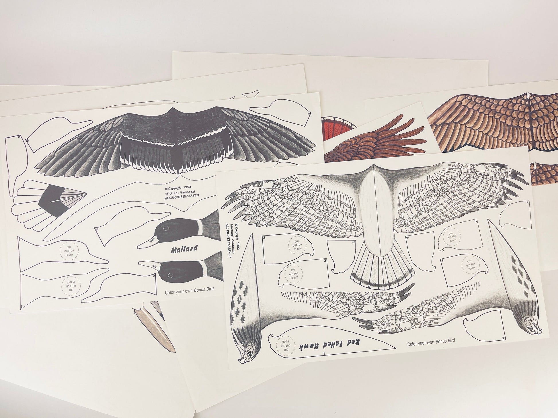 Product image for 'vintage eddie bauer bird gliders six 6 high flying paper gliders art by mike vannozzi new old stock nos' (view 22c866)