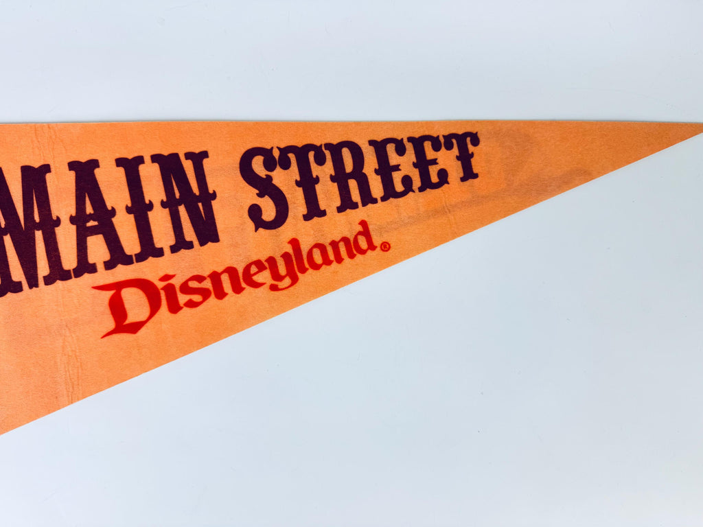 Product image for 'vintage 1980s souvenir felt pennant bold tapered wall hanging sold separately' (view d5d52d)