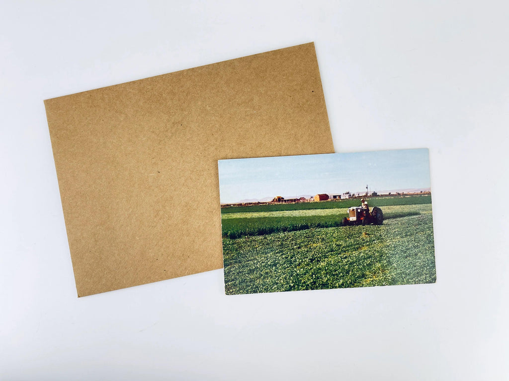 Product image for 'vintage postcard collection midcentury motel northwest charm' (view 98c9ca)