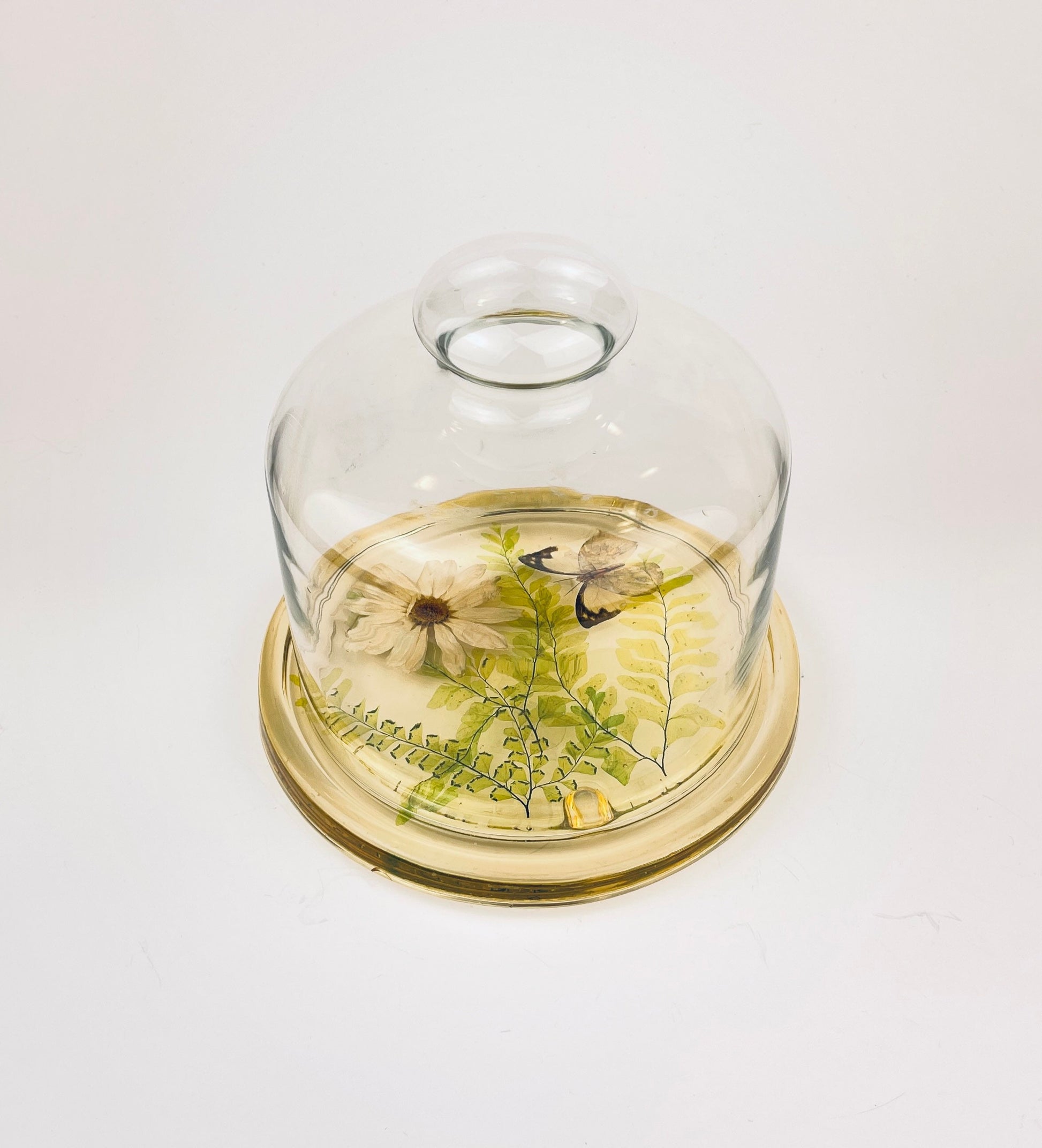 Product image for 'vintage pressed butterfly foliage lucite glass dome cloche design gifts mcmlxxiv 1974 made in usa' (view bf841d)