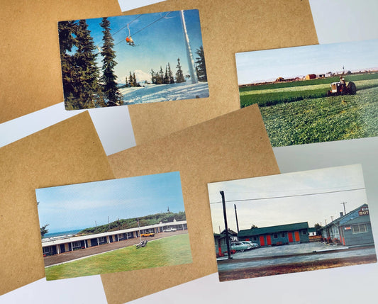 Product image for 'vintage postcard collection midcentury motel northwest charm' (view bb3718)