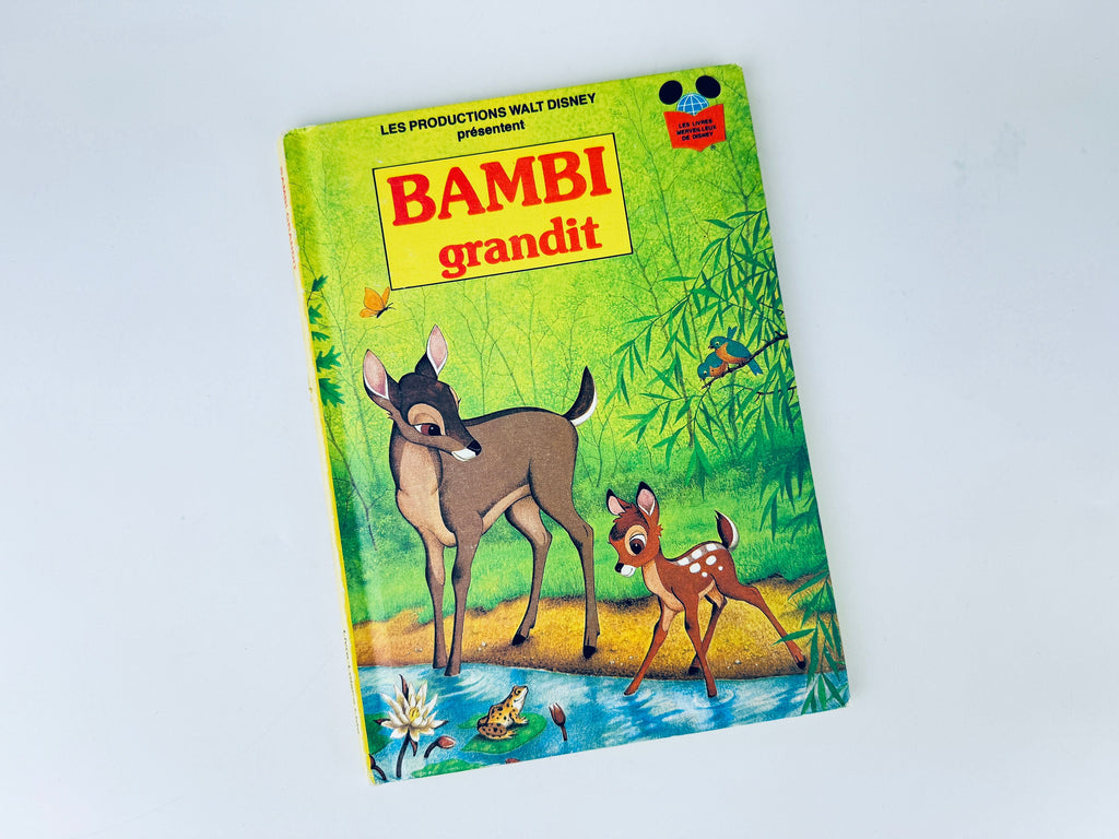 Product image for 'vintage francais walt disney livres pour enfants a couverture rigide vendus separement 1' (view aa1bfd)
