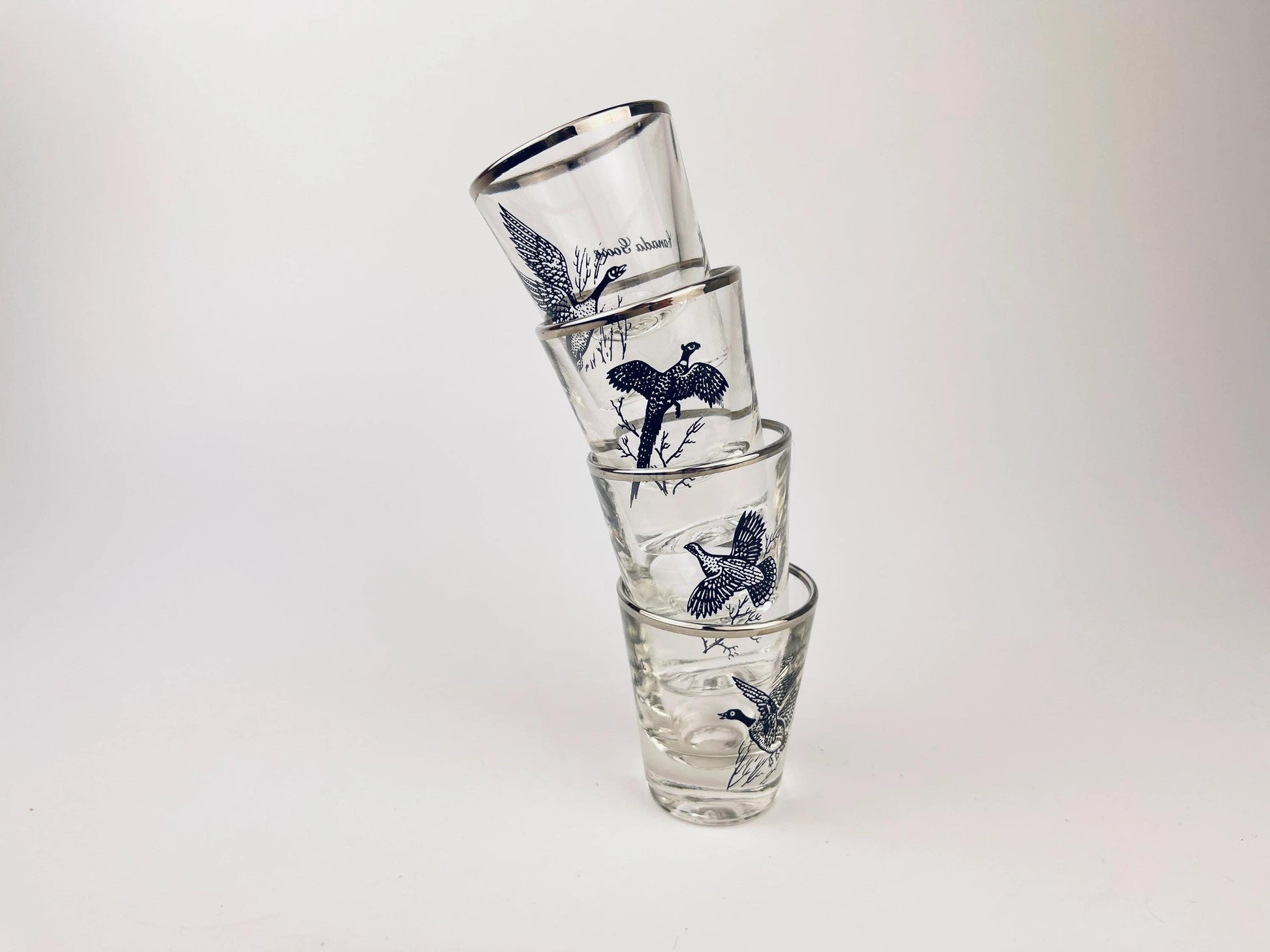 Product image for 'vintage foul bird drinking glasses clear silver rimmed perfect hunter gift sets sold separately' (view b7648a)
