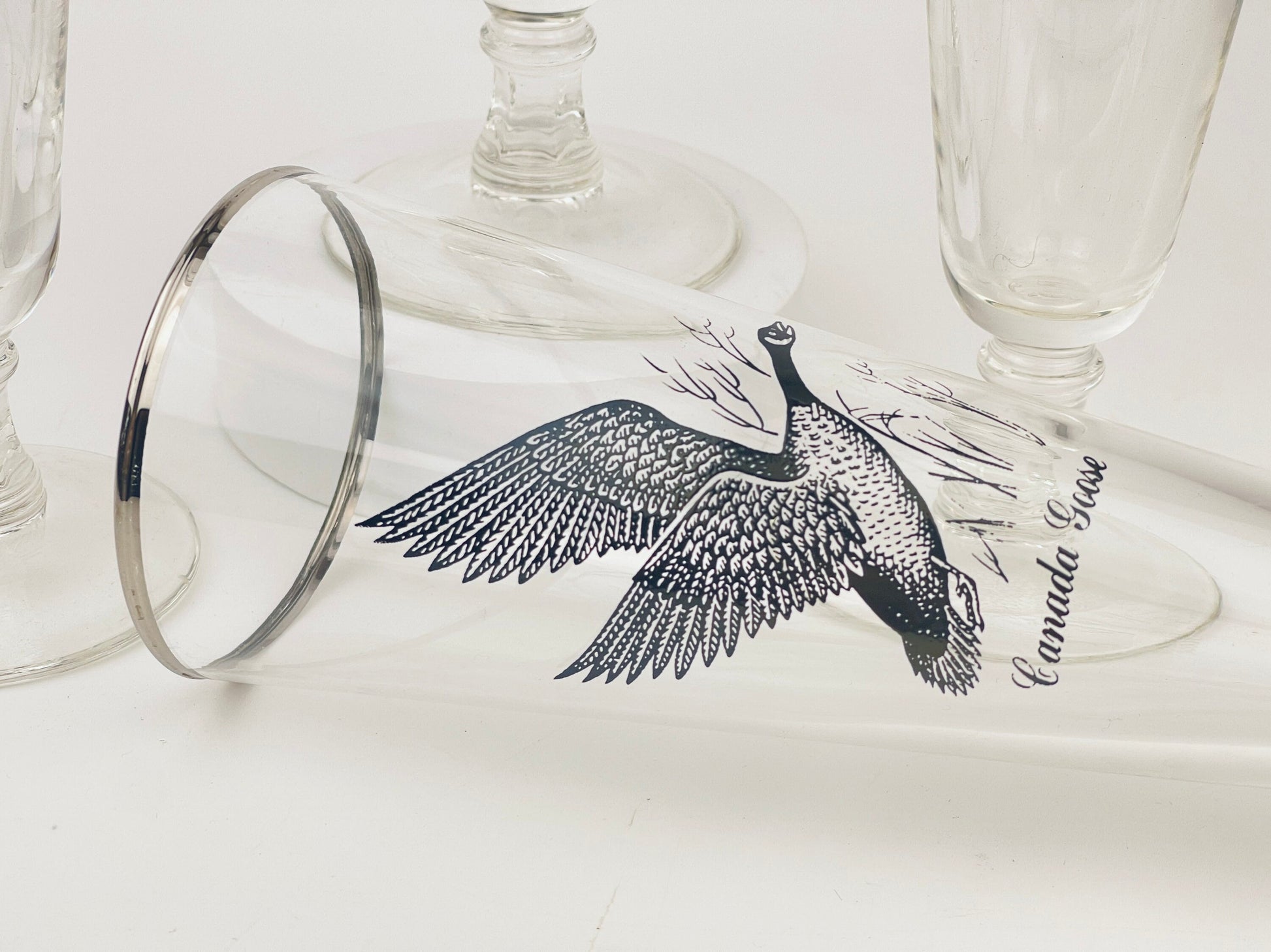 Product image for 'vintage foul bird drinking glasses clear silver rimmed perfect hunter gift sets sold separately' (view f9f1eb)