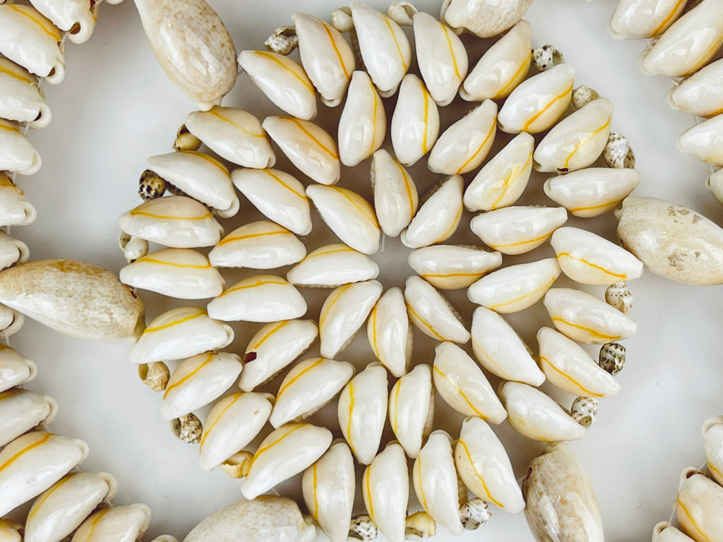 Product image for 'vintage sea shell circular trivet 9 plant coaster' (view 85c6c2)