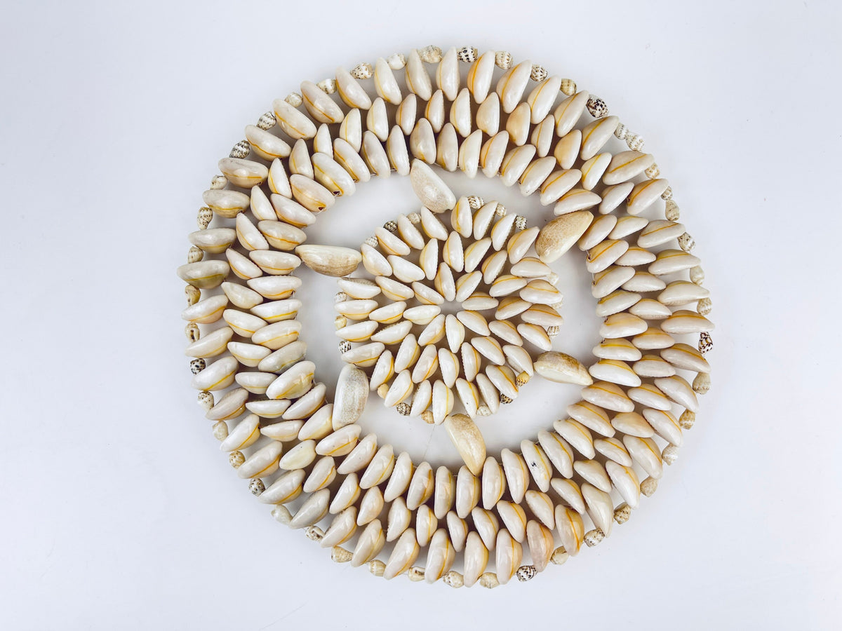 Product image for 'vintage sea shell circular trivet 9 plant coaster' (view e354e5)
