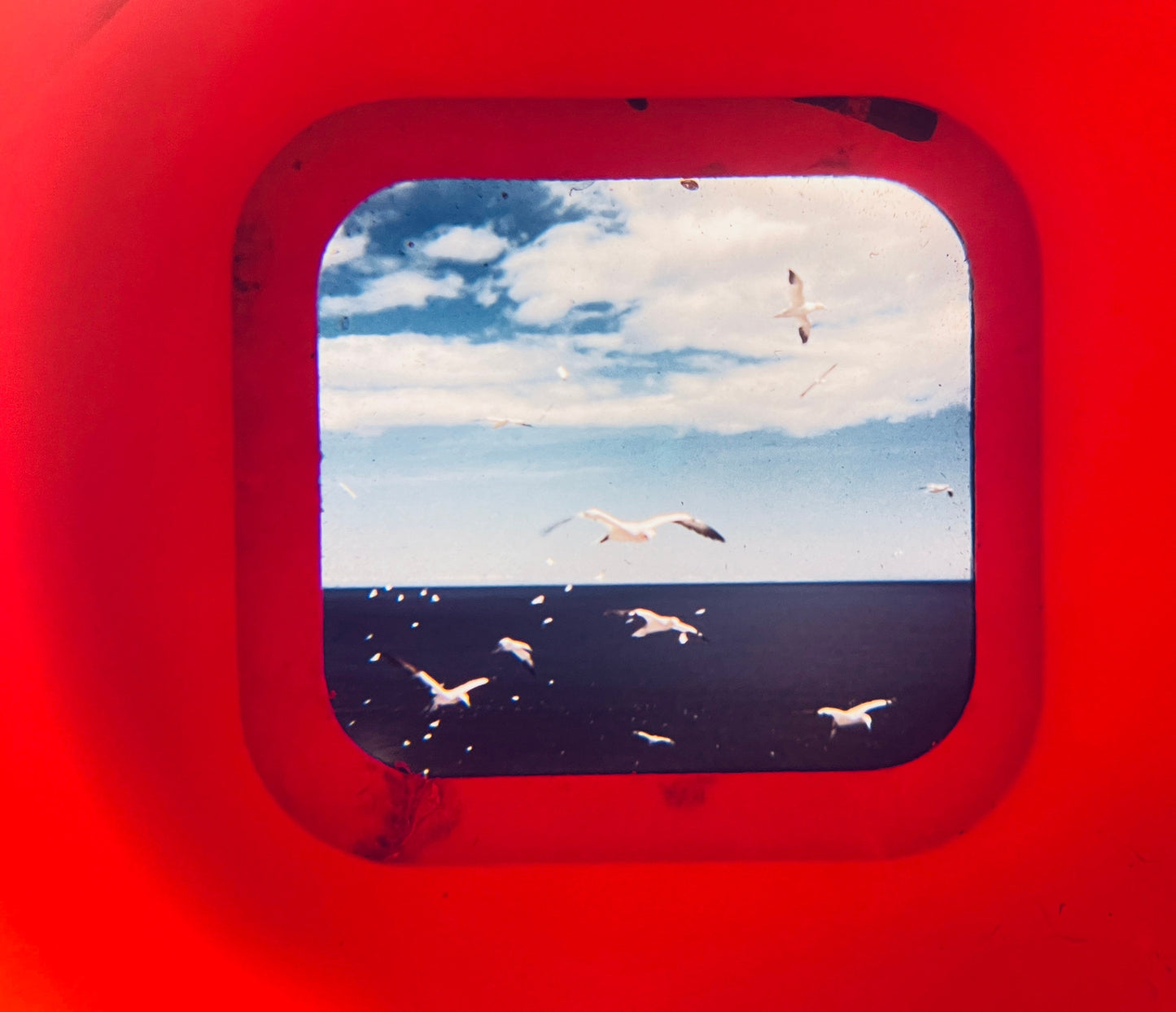 Red window frame with a view of seagulls flying over water and blue sky.