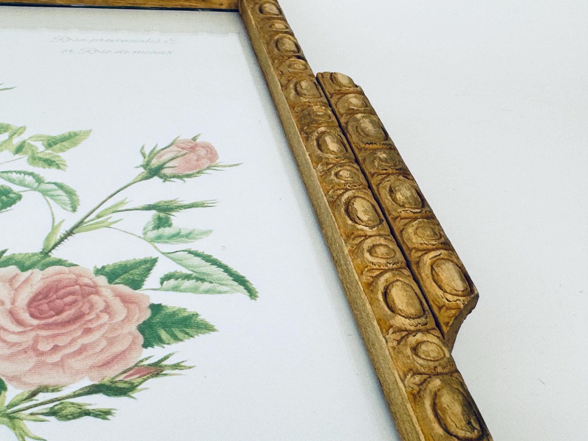 Framed botanical illustration of flowers in carved wooden handled tray. 