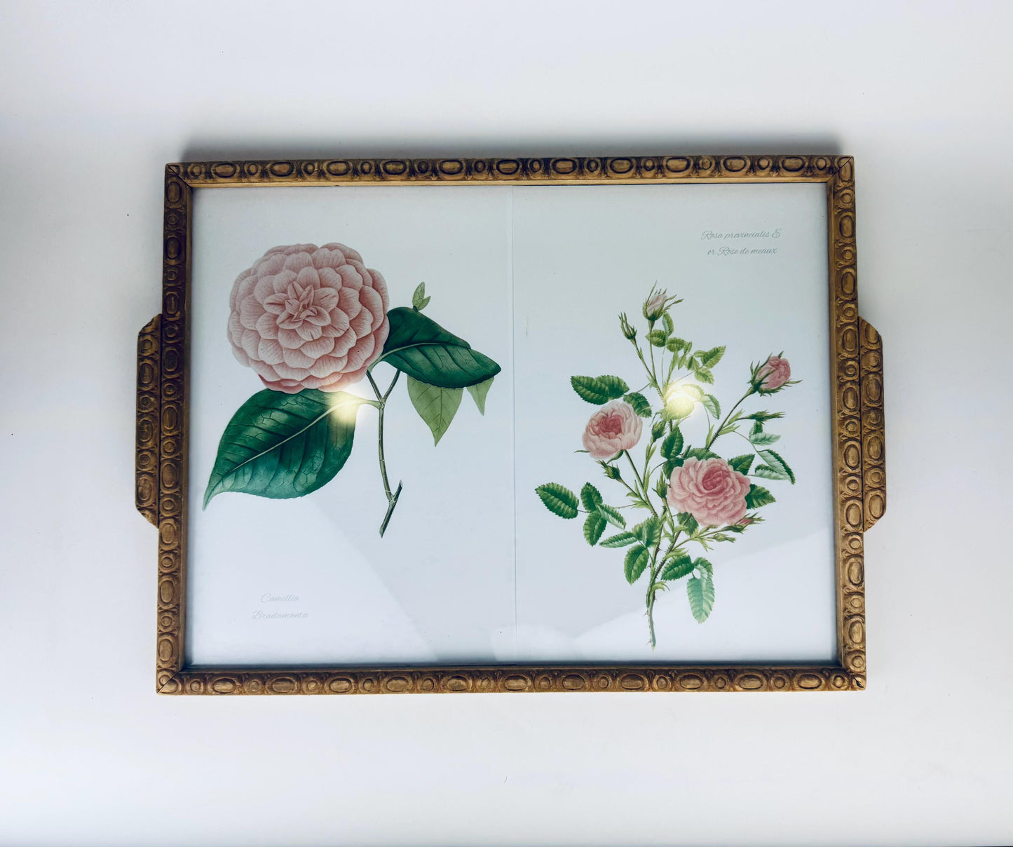 Framed botanical illustration of flowers in carved wooden handled tray. 
