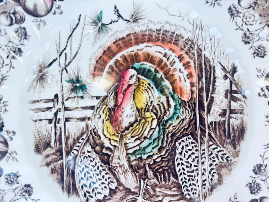 Colorful illustration of a turkey with a decorative background