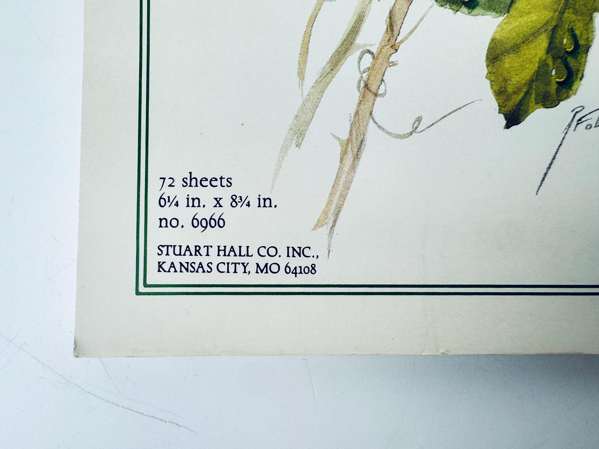 Artistic depiction of a plant with text on a white background