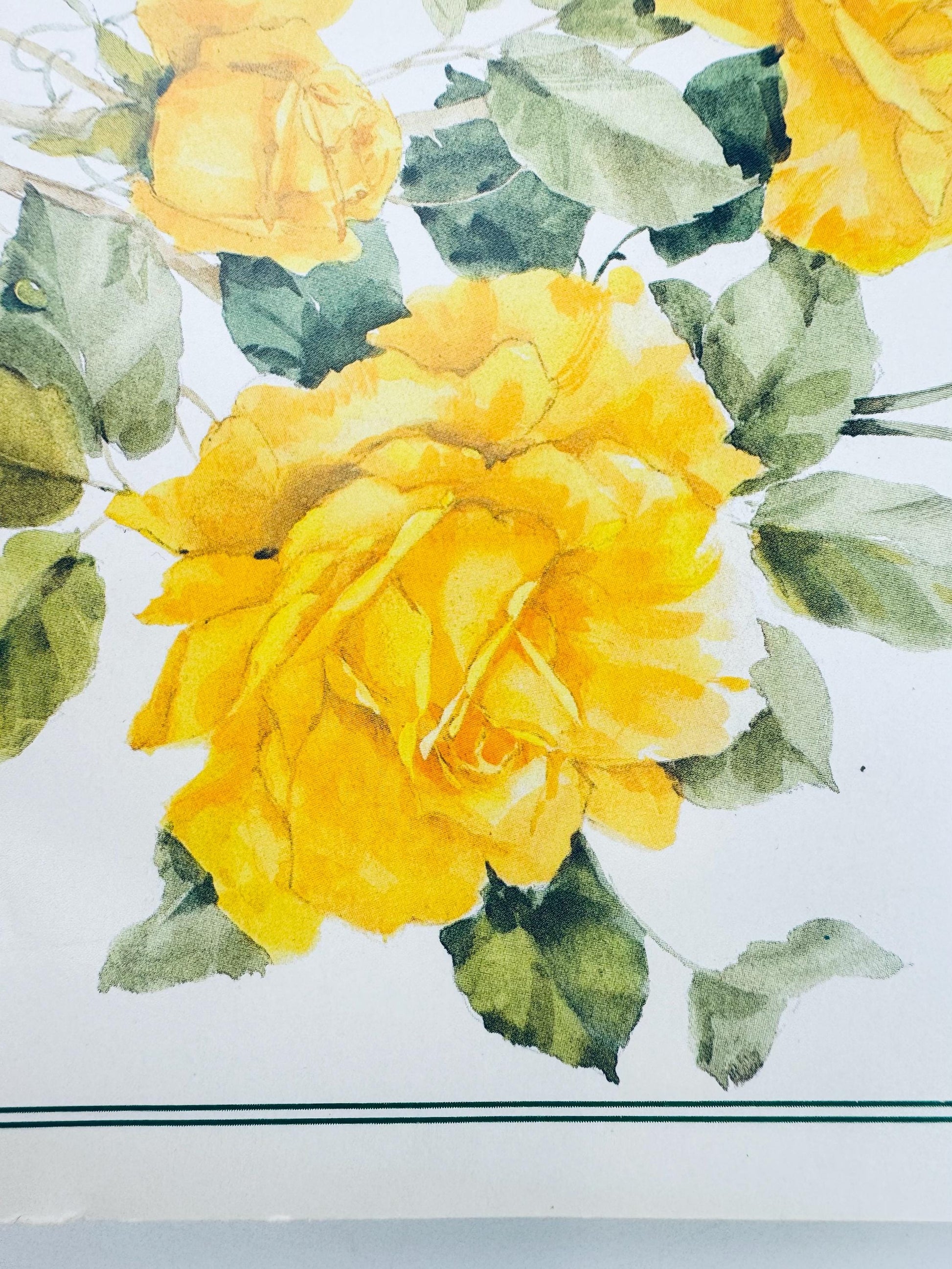 Watercolor painting of yellow flowers with green leaves on a white background