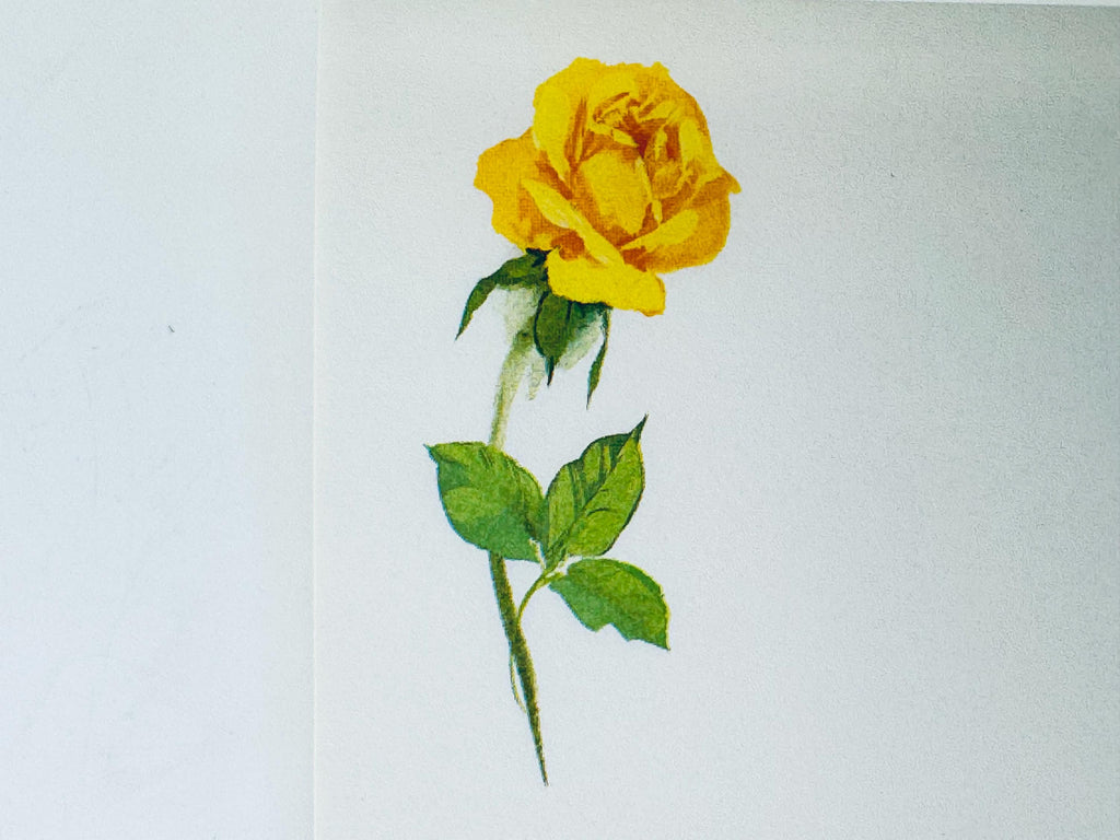Yellow rose with green leaves on a light gray background