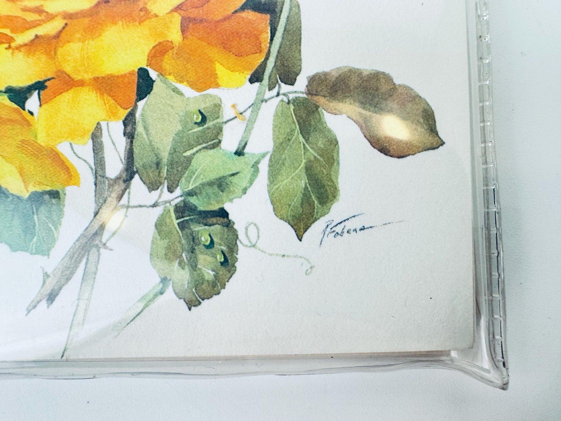 Artistic depiction of flowers and leaves on a white background