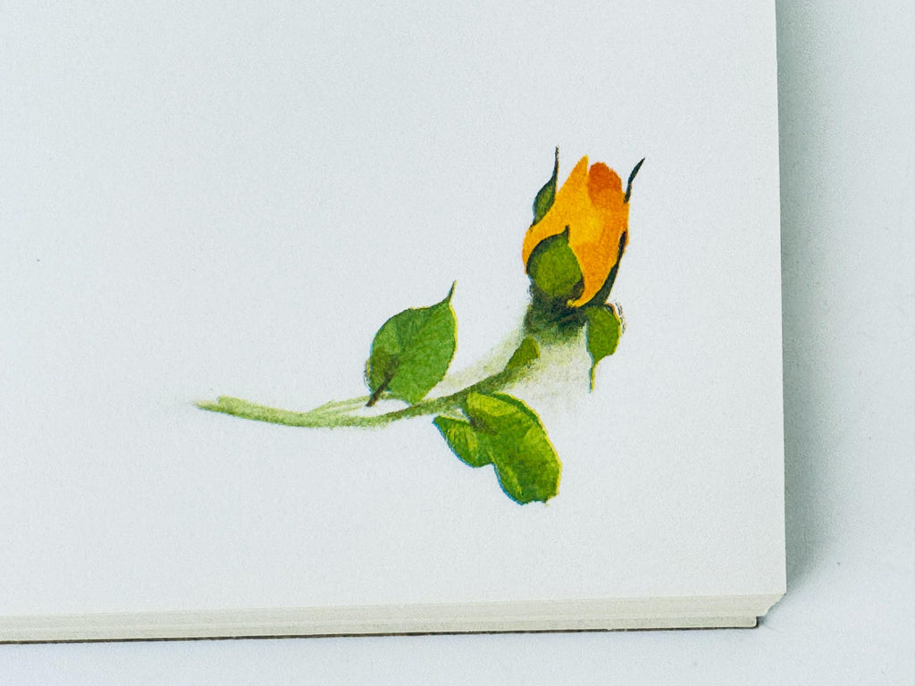 Close-up of a watercolor painting of a yellow rose bud on a white background