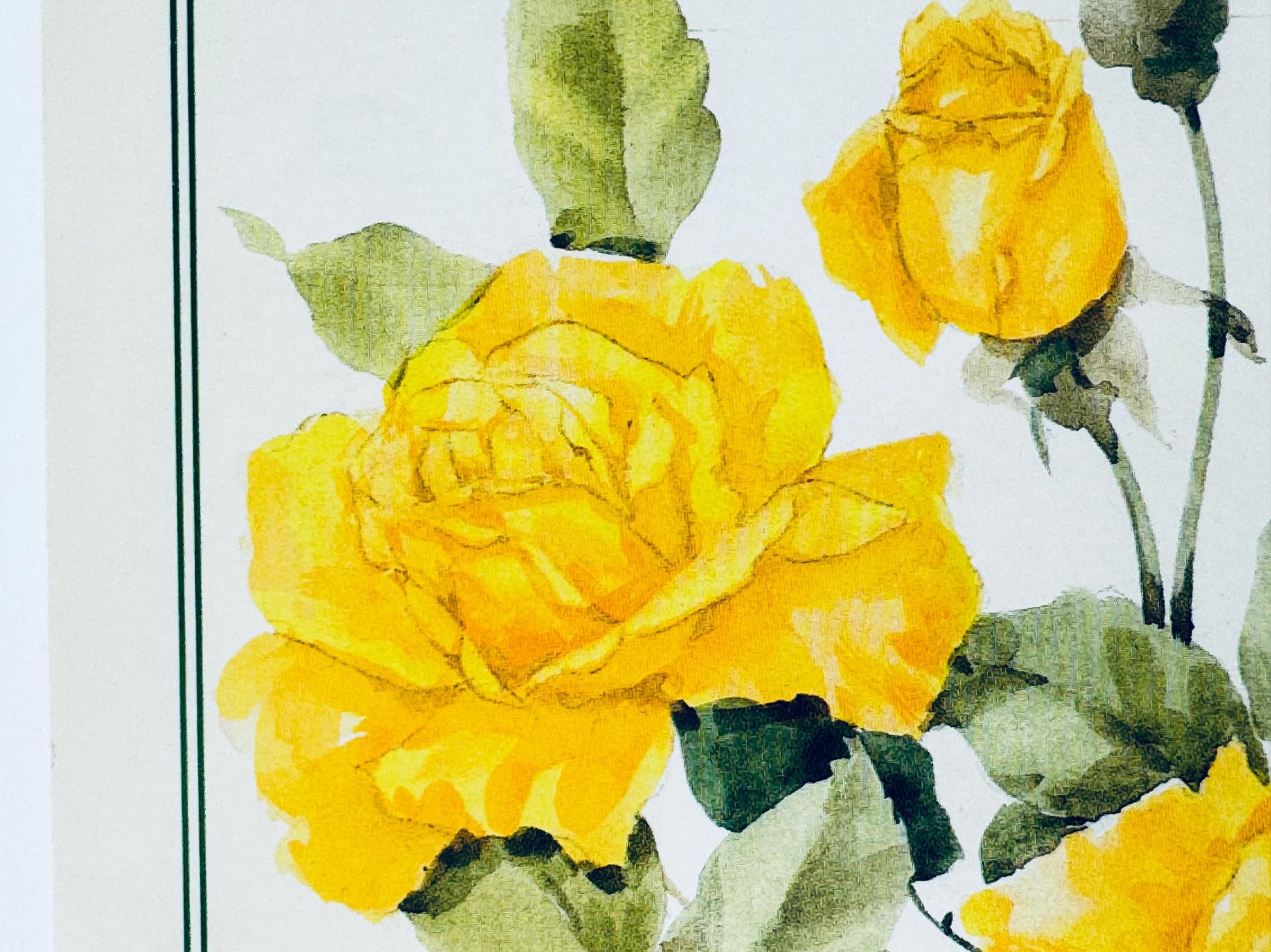Watercolor painting of yellow flowers with green leaves on a white background