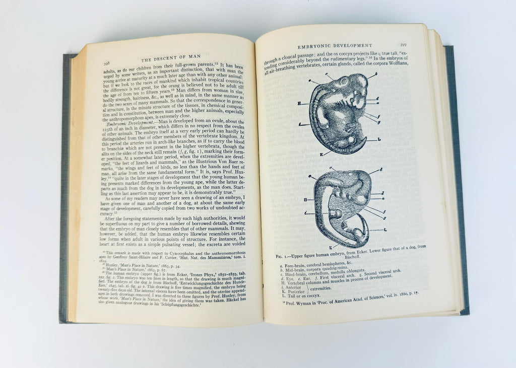Vintage 1951 Modern Library Darwin Book  The Origin of Species & The Descent of Man  Grey Cloth Hardcover