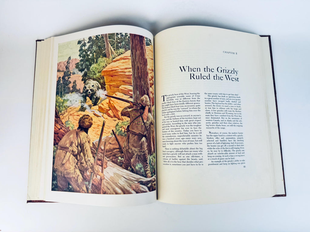 Vintage Brown Hardcover Book with Slipcase  The Story of American Hunting and Firearms (1959) - Illustrated Collectible History
