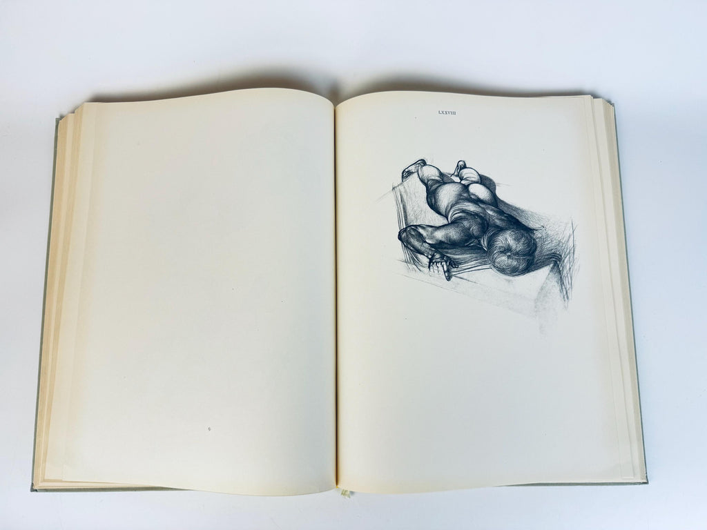 Vintage 'Anatomy For The Artist' Coffee Table Book  Pale Sage Cloth Bound - 7th Edition (1958)  Printed in Hungary By Jenõ Barcsay