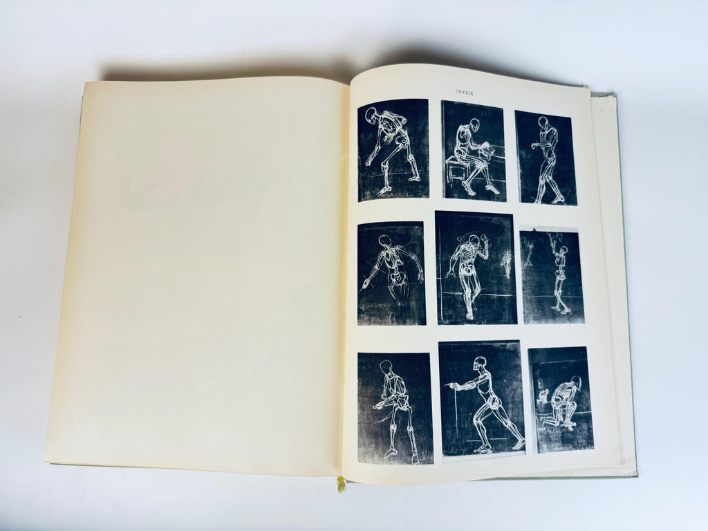 Vintage 'Anatomy For The Artist' Coffee Table Book  Pale Sage Cloth Bound - 7th Edition (1958)  Printed in Hungary By Jenõ Barcsay