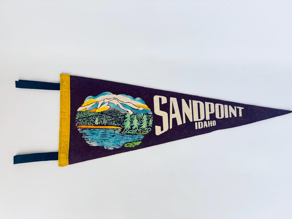 Vintage 1950s-1960s American Souvenir Large & Small Felt Tapered Pennant/Wall Hangings - Each Sold Separately