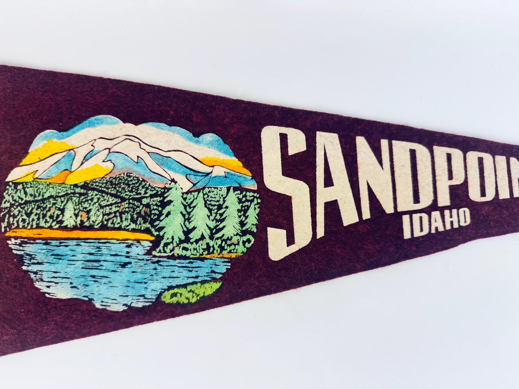 Vintage 1950s-1960s American Souvenir Large & Small Felt Tapered Pennant/Wall Hangings - Each Sold Separately