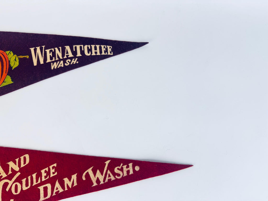 Vintage 1950s-1960s Washington State Souvenir Large & Small Felt Tapered Pennant/Wall Hangings - Each Sold Separately