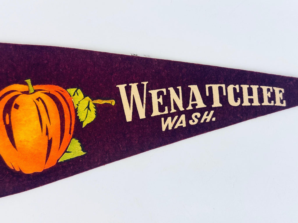 Vintage 1950s-1960s Washington State Souvenir Large & Small Felt Tapered Pennant/Wall Hangings - Each Sold Separately