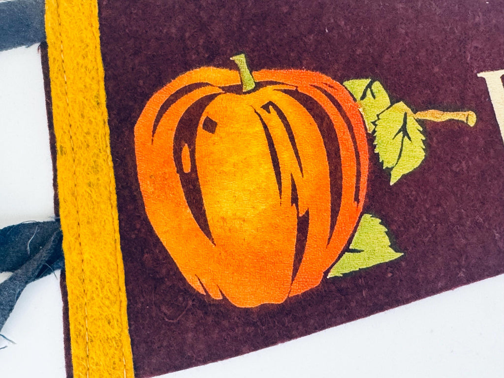 Vintage 1950s-1960s Washington State Souvenir Large & Small Felt Tapered Pennant/Wall Hangings - Each Sold Separately