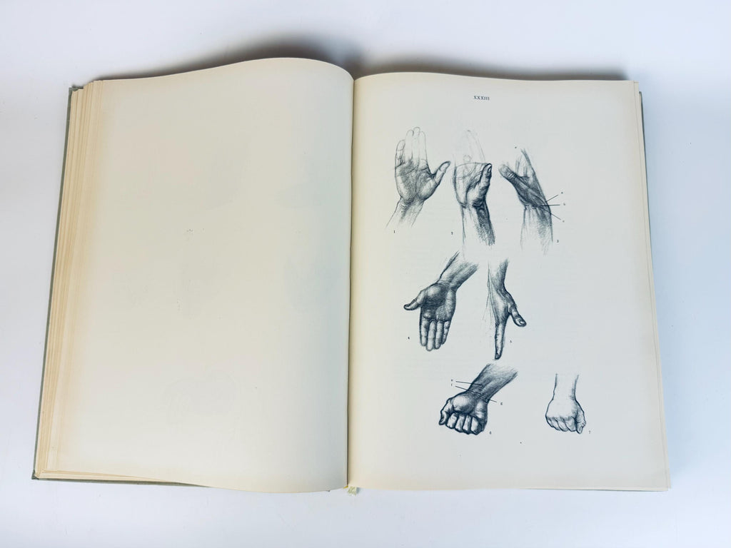 Vintage 'Anatomy For The Artist' Coffee Table Book  Pale Sage Cloth Bound - 7th Edition (1958)  Printed in Hungary By Jenõ Barcsay