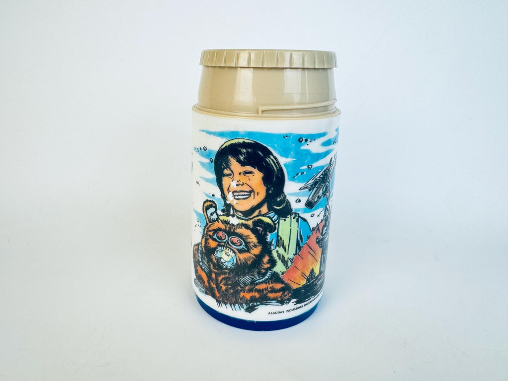 Vintage 1970s Aladdin insulated kids thermos  Star Trek  Woody Woodpecker  Bobby Orr  Wayne Gretzky  Battlestar Galactica designs
