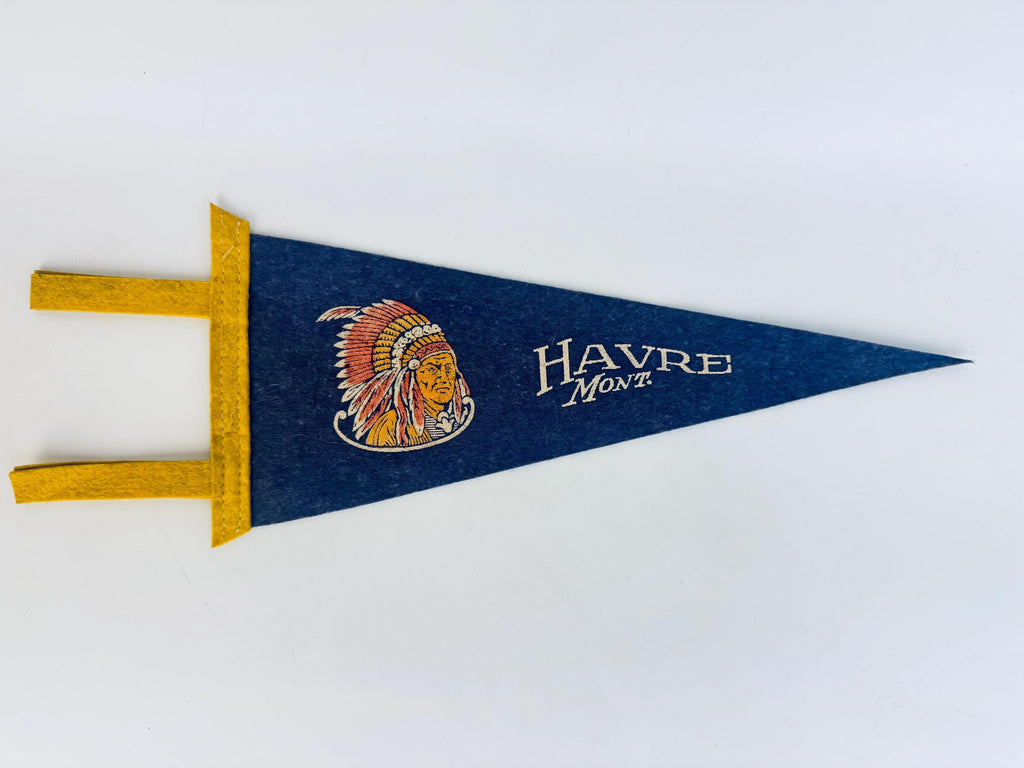 Vintage 1950s-1960s American Souvenir Large & Small Felt Tapered Pennant/Wall Hangings - Each Sold Separately