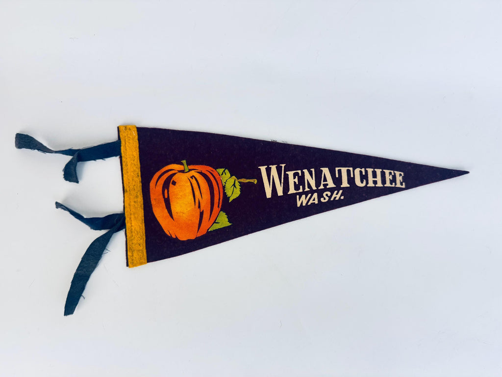 Vintage 1950s-1960s Washington State Souvenir Large & Small Felt Tapered Pennant/Wall Hangings - Each Sold Separately