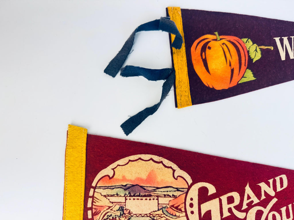 Vintage 1950s-1960s Washington State Souvenir Large & Small Felt Tapered Pennant/Wall Hangings - Each Sold Separately