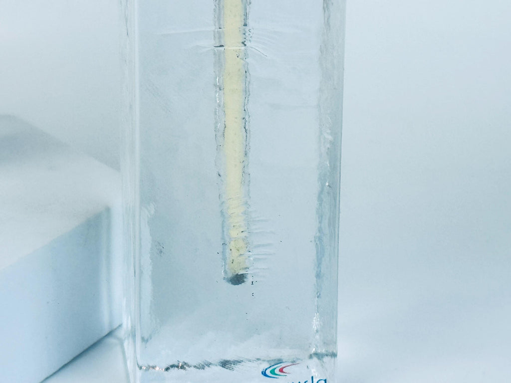 Vintage 1970s Clear Ice Glass Muurla Finland Sculptural Home Accent Extra Thin Candlestick Holders