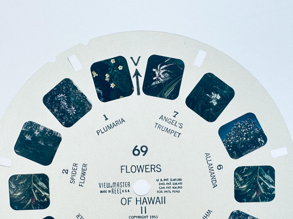 Vintage 1950/1970s Hawaii View-Master Reels - Reels Sold Separately