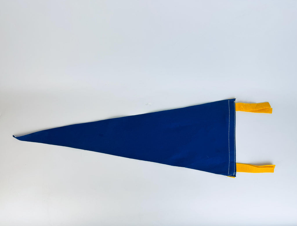 Vintage Large & Small Tapered Felt Pennant/Wall Hangings - Sold Separately - Disneyland -Yellowstone - Fishermen's Wharf