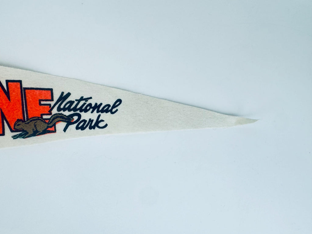 Vintage Large & Small Tapered Felt Pennant/Wall Hangings - Sold Separately - Disneyland -Yellowstone - Fishermen's Wharf