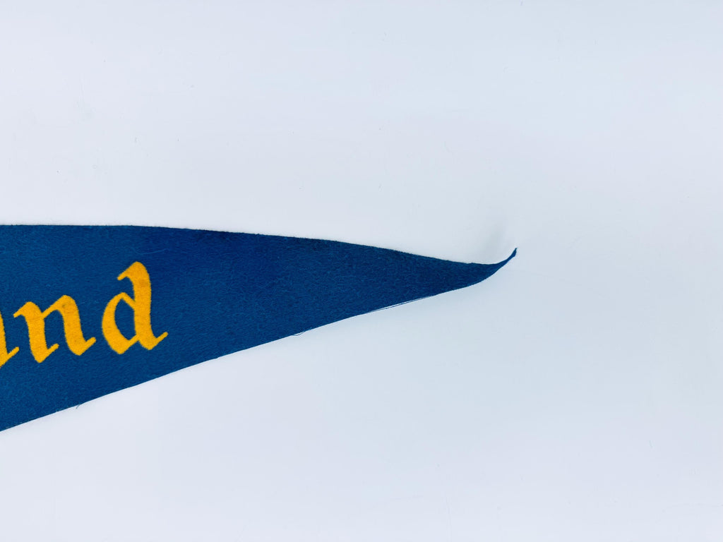 Vintage Large & Small Tapered Felt Pennant/Wall Hangings - Sold Separately - Disneyland -Yellowstone - Fishermen's Wharf